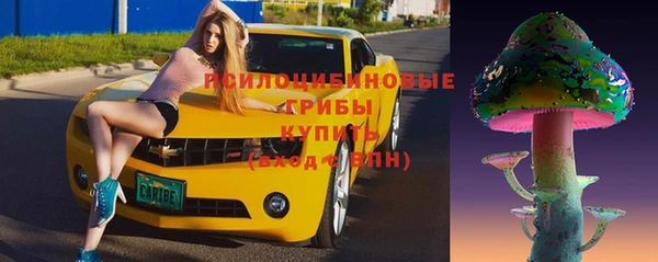каннабис Богданович