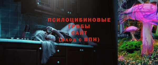 бутират Богородицк