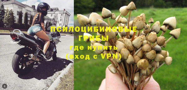 каннабис Богданович