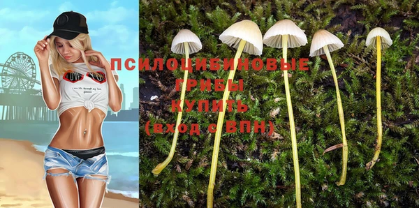 бутират Богородицк